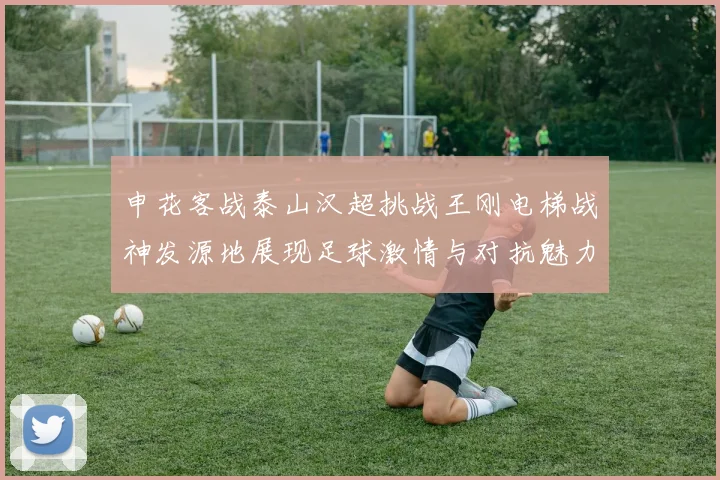 申花客战泰山汉超挑战王刚电梯战神发源地展现足球激情与对抗魅力