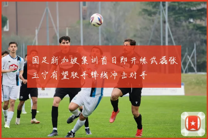 国足新加坡集训首日即开练武磊张玉宁有望联手锋线冲击对手