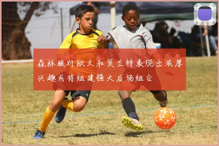 森林狼对欧文和莫兰特表现出浓厚兴趣或将组建强大后场组合