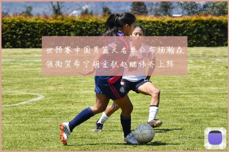 世预赛中国男篮大名单公布杨瀚森领衔贺希宁胡金秋赵继伟齐上阵